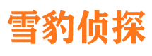 桂平市调查公司